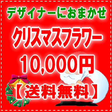 デザイナーにデザイナーにおまかせ★フラワー★★クリスマスのプレゼントに★X'masフラワー…...:eehana:10001476