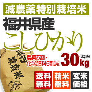 【送料無料】特別栽培米23年産 福井県産こしひかり [減農薬栽培　お米 30kg]※放射線不検出/玄米/白米/分つき米/真空梱包対応可/5k×6袋/【あす楽対応】●この商品は沖縄・北海道も送料無料です！農薬5割減・化学肥料5割減