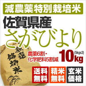 【送料無料】特別栽培米　特Aランク23年産　佐賀県産さがびより[減農薬栽培　お米　10kg]※放射線不検出/玄米/白米/分つき米/真空梱包対応可/5k×2袋/九州のお米