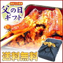 ■父の日ギフト2012★父の日のプレゼントやお誕生日やお祝いの贈り物にも♪　送料無料 お祝い誕生日ギフトに★老舗うなぎ特大蒲焼きセット♪鰻蒲焼を風呂敷に包んで♪※北海道・沖縄別途600円父の日ギフト2012★父の日のプレゼントやお誕生日やお祝いの贈り物にも♪ 送料無料 お祝い誕生日ギフトにうなぎ蒲焼き★焼いてすぐ真空パック鰻の蒲焼き