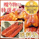 お誕生日やお祝いのプレゼントに♪送料無料☆老舗『浜名湖 うなぎのたなか』の国内産うなぎ(鰻)長蒲焼き真空パック90?110g 国産ウナギ蒲焼3本SET※北海道沖縄別途600円【あす楽対応_】