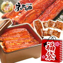 送料無料!新春大SALE 福袋 食品 2020 海鮮 魚≪梅...