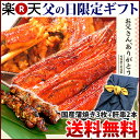 遅れてごめんね!父の日ギフト 送料無料《楽天限定》国産うなぎ...