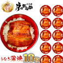 送料無料!国産ウナギ 蒲焼き 小ぶり蒲焼き(わけあり国内産小さめサイズ55〜60g)10枚 お試しセ...