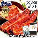 父の日ギフト早割 送料無料 [うなぎのたなか国産うなぎ蒲焼き...