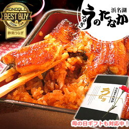 ＼早割4/1(月)まで！／ 母の日 早割 うなぎ 国産 蒲焼き プレゼント ギフト 送料無料 鰻 ギフトセット 真空パック お祝い 食品 食べ物 誕生日 内祝い グルメ 人気 あす楽 カーネーション造花付き 蒲焼き2枚 【静岡産 通常 <strong>AAA</strong> 化粧箱】PON-2 [1～2人前]