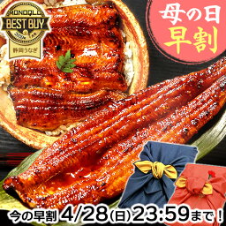 ＼早割ラスト★4/28(日)まで！／ 母の日 プレゼント 父の日 うなぎ 国産 蒲焼き ギフト 内祝い 誕生日 食べ物 送料無料 鰻 真空パック <strong>食品</strong> 人気 クーポン <strong>あす楽</strong> カーネーション造花付き 特大長蒲焼き1本 1尾 カット蒲焼き2枚 【静岡産 通常 AAA 風呂敷】FA [2～3人前]