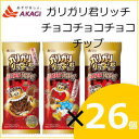 【20%OFF】赤城乳業 ガリガリ君リッチ チョコチョコチョコチップ 100ml×26個入り