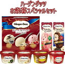 ハーゲンダッツ アイスクリームお歳暮スペシャルセット お歳暮 アイスクリームギフト
