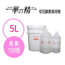 パレス化学 切花鮮度保持剤 華の精 エキスパート 5L 10...