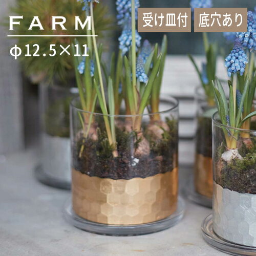 あす楽対応 FARM ゴールドシリンダー11＆ソーサー 93094 鉢 観葉植物 エアープランツ エアプランツ ガラス インテリア グリーン ガーデニング 室内ガーデン