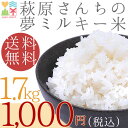 お米 お試し 送料無料 1000円ポッキリ 選べる白米・玄米...