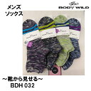 BDH032 メンズソックス BODYWILD ボディワイル...