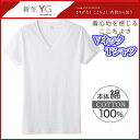 【グンゼ】YG メンズインナー VネックTシャツ(綿100%...