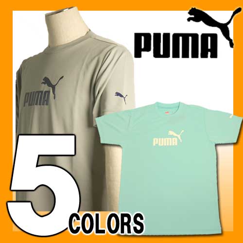 ۴®ͥ줿Ǻαư˺Ŭ34%OFFPUMA(ס)ȾµTĢץ饯ƥĢեåȥ륦