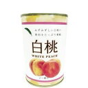 朝日 白桃缶 425GX6個セット【セット販売】