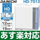 【あす楽対応/在庫有/即納】ダイニチ2013年最新