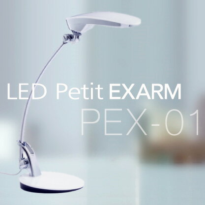 デスクライト LED おしゃれ Petit EXARM PEX-01 【正規販売店】 電気スタンド ...:eigo:10001458