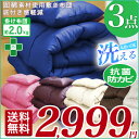 2999円!【送料無料】ふっくら増量約2...