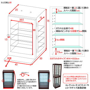 サイズ