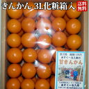 【今季販売終了しました】【ご予約承り中】ハウスきんかん化粧箱...