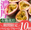 8月下旬まで【期間限定販売!】パッションフルーツ 10個入【送料無料】詰合せ セット 大容量 こしき島 国産 ギフト 果物 南国フルーツ 甑島産 お中元 人気 箱入り 農薬未使用 鹿児島県産