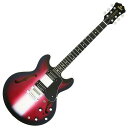 Aria Pro II TA-JAIL “STRIPE BURST” 24本のみの限定生産品 2016年春入荷予定!【アリア】【ジェイル大橋代官モデル】【聖飢魔II】【送料無料】