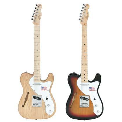 SX GuitarsKTL-300【カラーをご指定下さい】【エレキギター】【入門エレキギタ…...:ekiweb:10016438