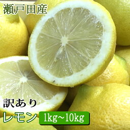 レモン 訳あり 国産 1kg・2kg・<strong>3kg</strong>・5kg・10kg ノーワックス 防腐剤不使用 有機 減農薬 <strong>国産レモン</strong> 瀬戸田レモン 瀬戸内レモン ロックレモン 訳ありレモン わけあり