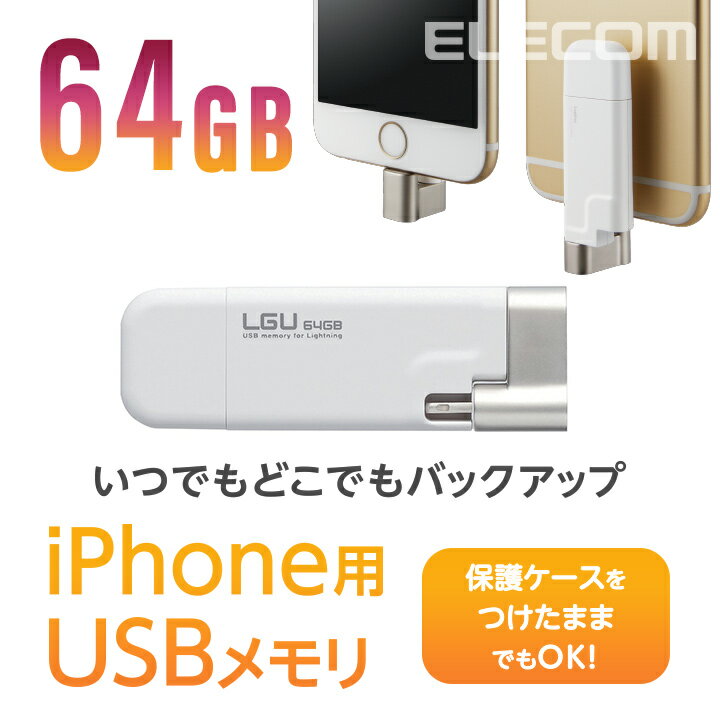 WebN USB LightningRlN^ USB2.0 USB  USB[ tbV[ 64GB LMF-LGU264GWH