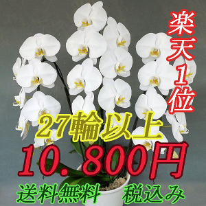 プレゼント フラワー