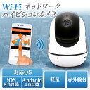 Wi-Fi ネットワークハイビジョンカメラ HDカメラ カメ...