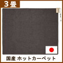 【国産★】ホットカーペット 3畳 国産 本体 WHD-301...