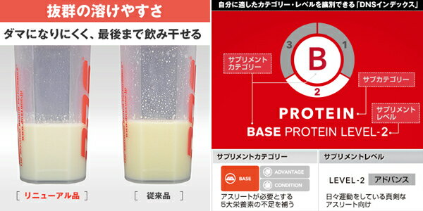 DNS 身体の分解を抑えるグルタミンペプチド配合 ホエイプロテインG＋ Whey Protein Gプラス 1000g 1kg チョコレート風味 1000グラム レビューを書いて送料無料