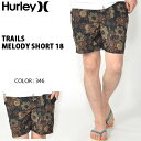 送料無料 サーフパンツ HURLEY ハーレー メンズ 水陸両用 TRAILS MELODY SHORT 18 VOLLEY ハーフパンツ サーフパンツ サーフ ショーツ パンツ ショートパンツ 海水パンツ アウトドア プール 海水浴 野外フェス 2019春夏新作 10%off
