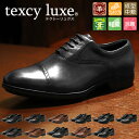 スニーカーのような履き心地 送料無料 本革 ビジネスシューズ アシックストレーディング ASICS TRADING 紳士靴 メンズ フレキシブル 3E レザー texcy luxe テクシーリュクス