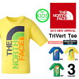 メール便配送可能！半袖Tシャツ ノースフェイス THE NORTH FACE FACE キッズ ジュニア 子供 TriVert Tee NTJ31431 ロゴT グラフィックT ウェア カジュアル アウトドア トレッキング 2014新作