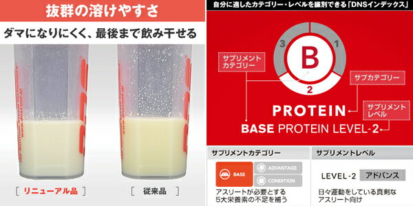 送料無料 DNS 身体の分解を抑えるグルタミンペプチド配合 ホエイプロテインG＋ Whey Protein Gプラス 1000g 1kg チョコレート風味 1000グラム