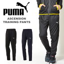 送料無料 ジャージ パンツ プーマ PUMA メンズ ASCENSION トレーニングパンツ ジャージパンツ ロングパンツ スポーツウェア トレーニングウェア サッカー フットサル 2017春新作 得割23