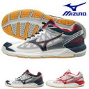 送料無料 バレーボールシューズ ミズノ MIZUNO メンズ...