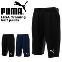 ジャージ ハーフパンツ プーマ PUMA メンズ LIGA ...