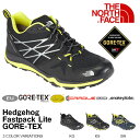 送料無料 悪天候に強いGORE-TEX 超軽量 シューズ ザ・ノースフェイス THE NORTH FACE ヘッジホッグ ファストパック ライト Hedgehog Fastpack Lite GORE-TEX メンズ Vibram Sole