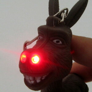 Ĥդθ륭ۥǤ 륰å뤪㡣ɥ饤ȥۥ(ɥ󥭡)