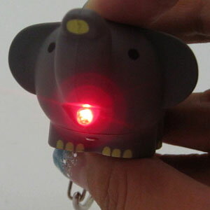 Ĥդθ륭ۥǤ 륰å뤪㡣ɥ饤ȥۥ(ե)