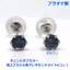 【送料無料】プラチナ製極上ブラジル産天然アレキサンドライトスタッドピアス0.3ct■8001-8088-3 46,200円