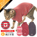 【送料込】【2020年冬新作】【猫専用】猫用ウォームボーダー...