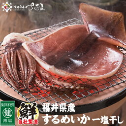 <strong>海鮮バーベキューセット</strong> BBQ するめいか干物 保存料不使用【冷凍便】