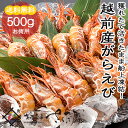 【冷凍便】越前産 がらえび 500g 生食用...