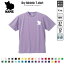 バーミーズ 名入れドライTシャツ お名前入り 練習着 レディース メンズ ウェア トップス 運動着 スポーツウェア ジョギング 吸汗速乾 チームTシャツ クラスTシャツ UVカット ピクトグラム 猫 ネコ ねこ キャット ペット 2,980円