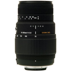 シグマ 70-300mm F4-5.6 DG MACRO ニコン用（モーター内蔵タイプ） 《デジカメオンライン》◎